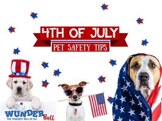 4th of July Pet Safety Tips from Veterinarians to Help Keep Your Dog Calm, Safe, and Happy