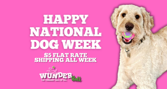 National Dog Week Special Offer
