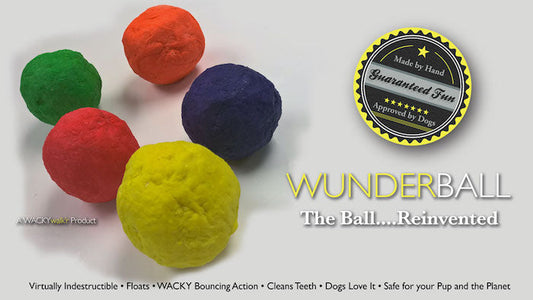 Groovy Golden Doodles Reviews the WUNDERBALL (Spoiler alert - They Loved it!!)