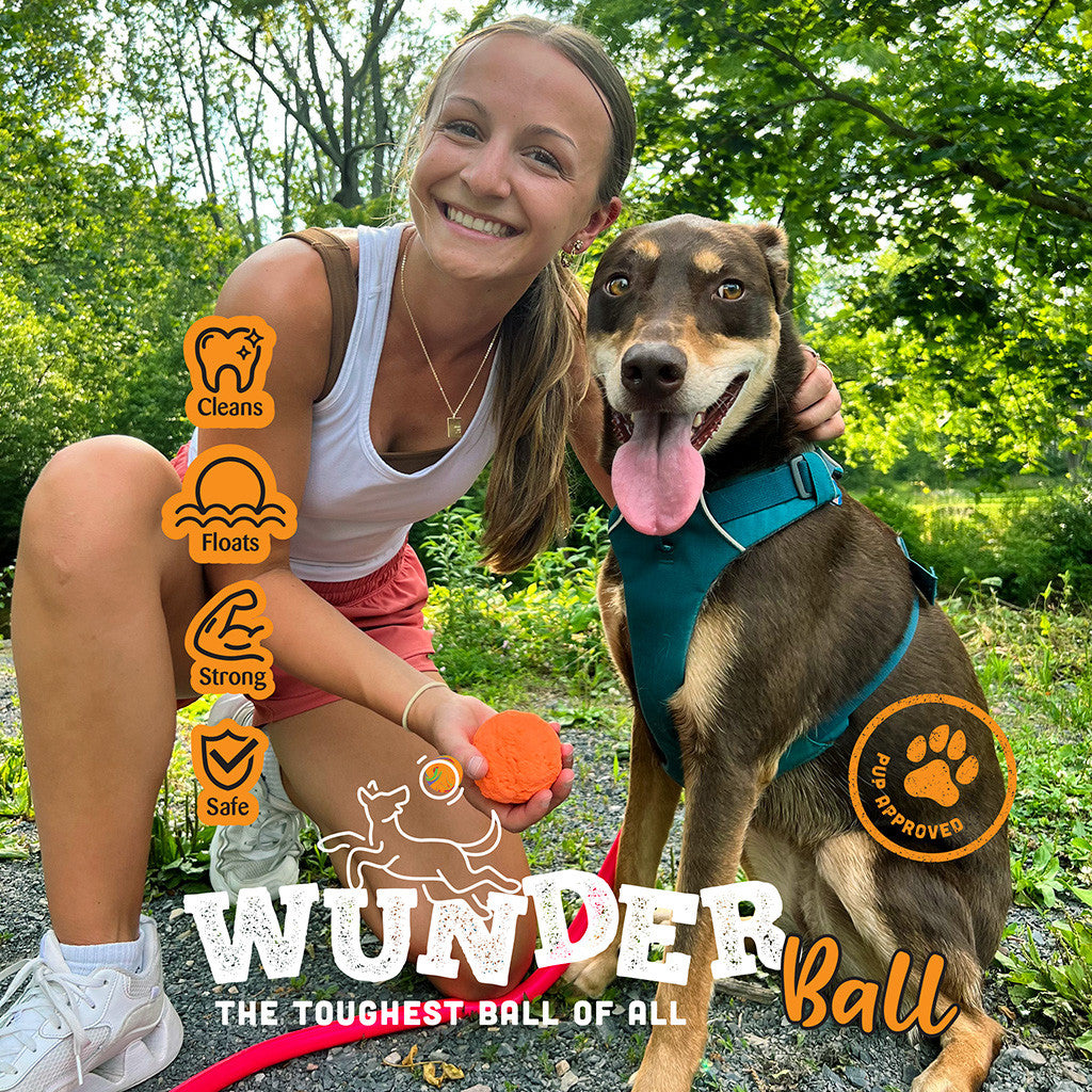 Made for adventures and long days of fun with your best friend. The smiles and wagging tails tell us all we need to know.