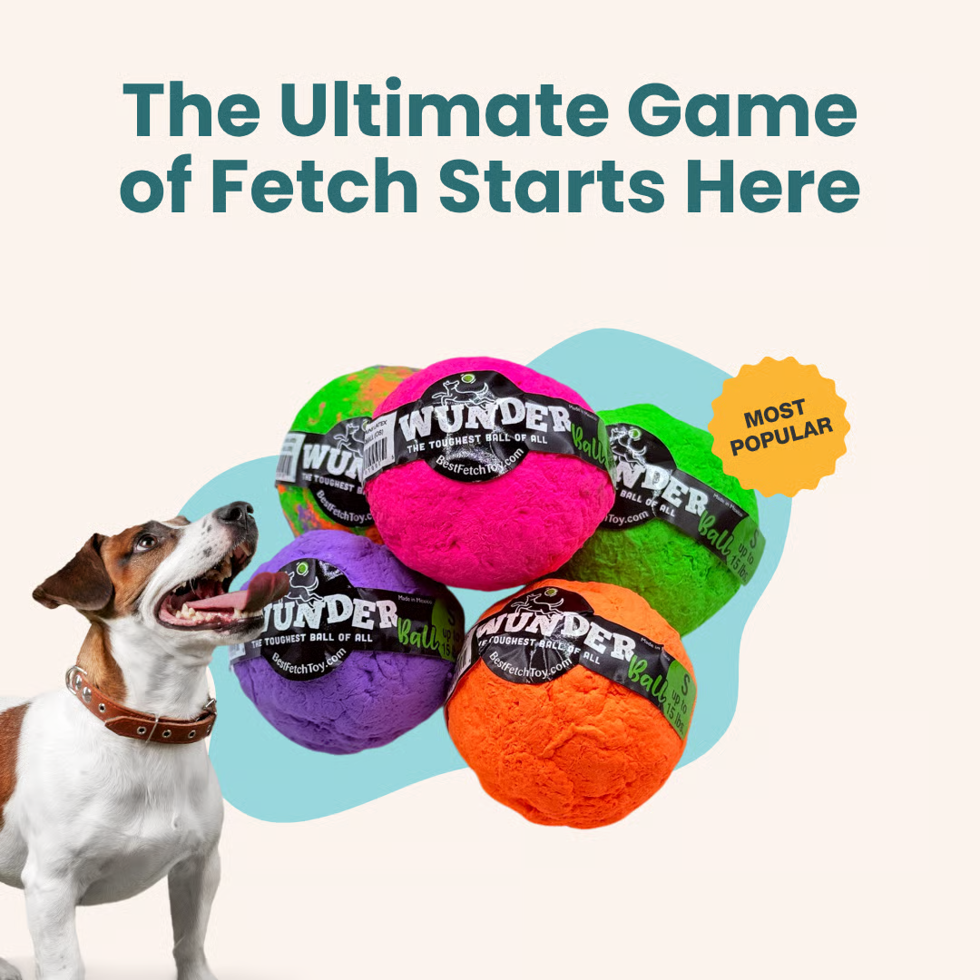 WACKYwalk’r Dog Toys: Fun, Safe, and Sustainably Made