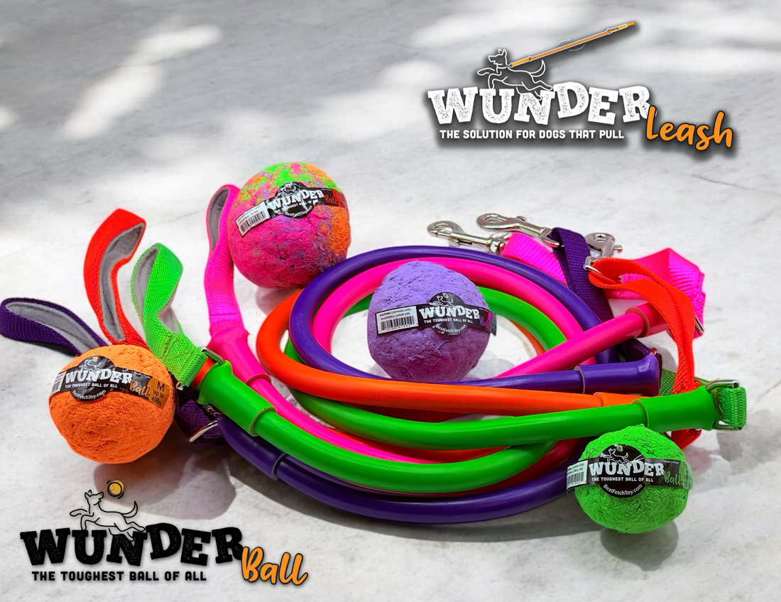 Colorful WunderBall dog toys and matching leashes displayed on a concrete surface