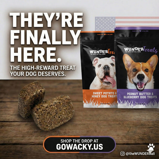 Two WUNDERtreats bags (Peanut Butter &amp; Blueberry, Sweet Potato &amp; Honey)