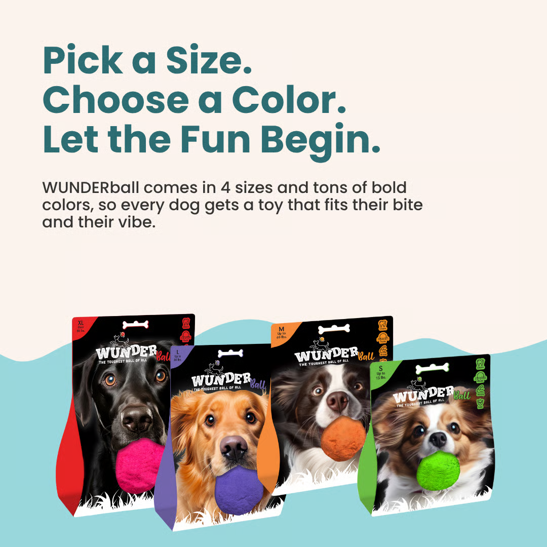 Four WUNDERball packages in bold colors, each showing a dog holding a matching ball under the headline “Pick a Size. Choose a Color. Let the Fun Begin.”