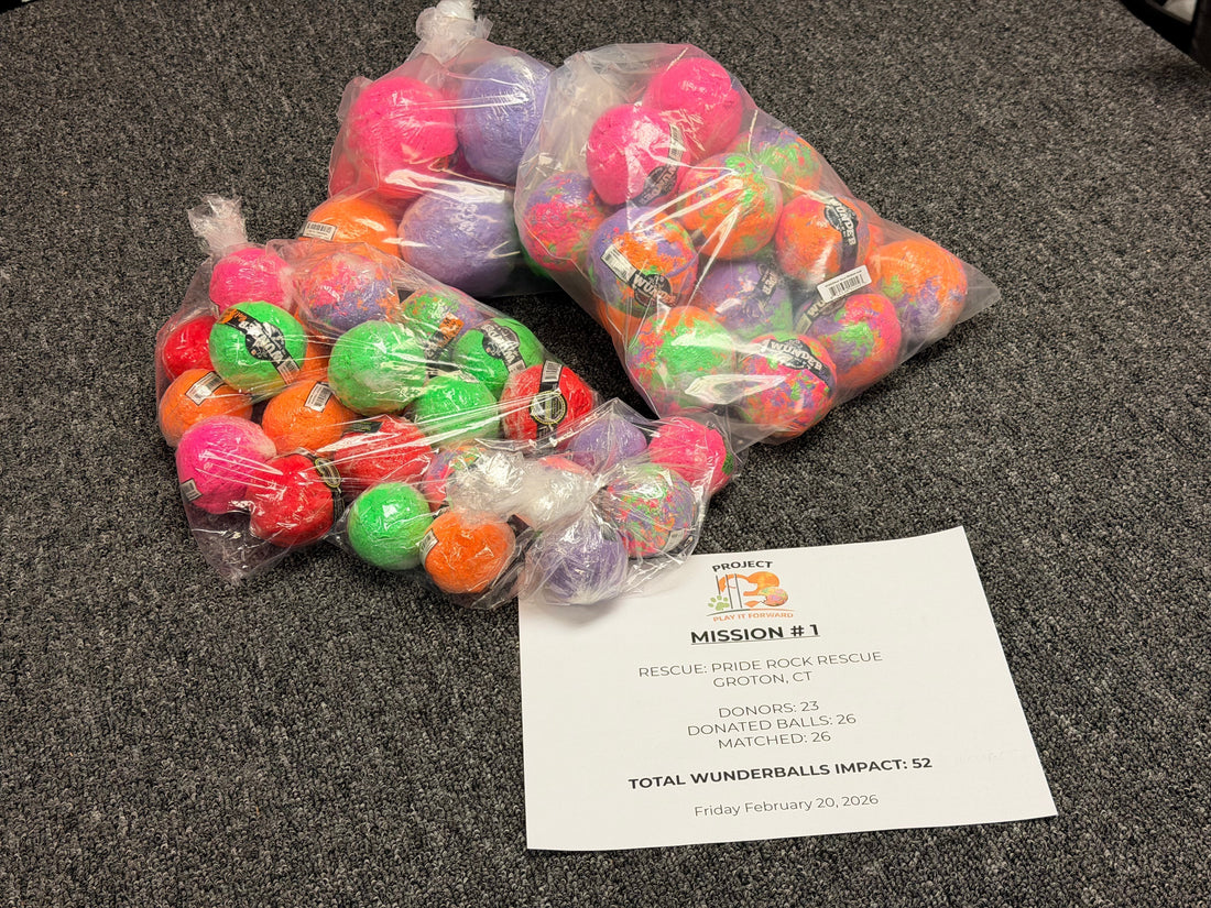 How "Project Play It Forward" is Changing Lives in Groton, CT