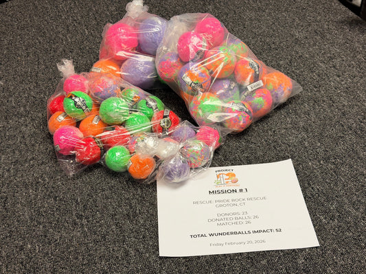 How "Project Play It Forward" is Changing Lives in Groton, CT