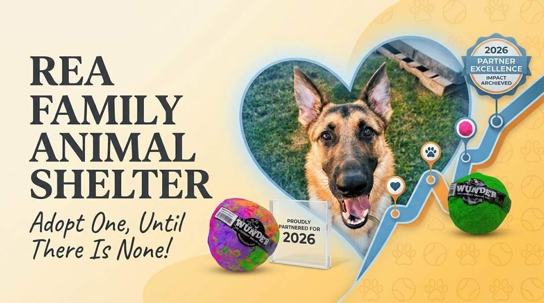 Mission #2: Wunderball Joy is Headed to the Rea Family Animal Shelter!