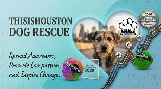 Mission #3: Bringing WUNDERball Joy to the Resilient Pups of ThisIsHouston