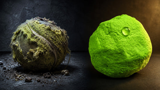 Are Tennis Balls Safe for Dogs? The Hidden Dangers Vets Want You to Know