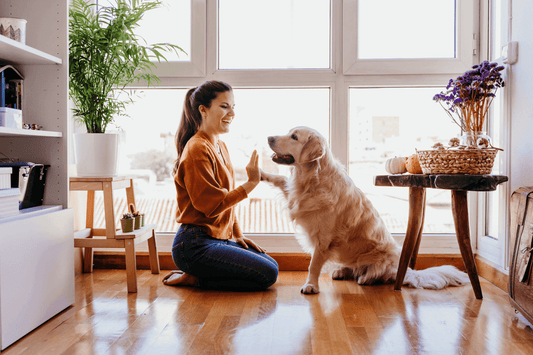 Woman kneeling indoors gives a high-five to a golden retriever near a sunny window