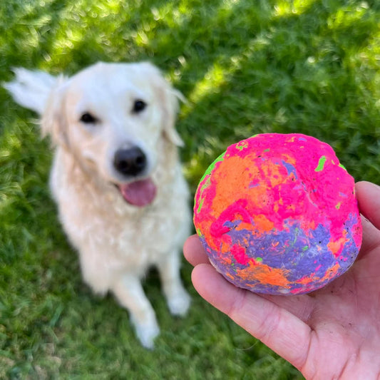 A person holding a colorful Wunderball toy in front of a happy Golden Retriever sitting on grass.