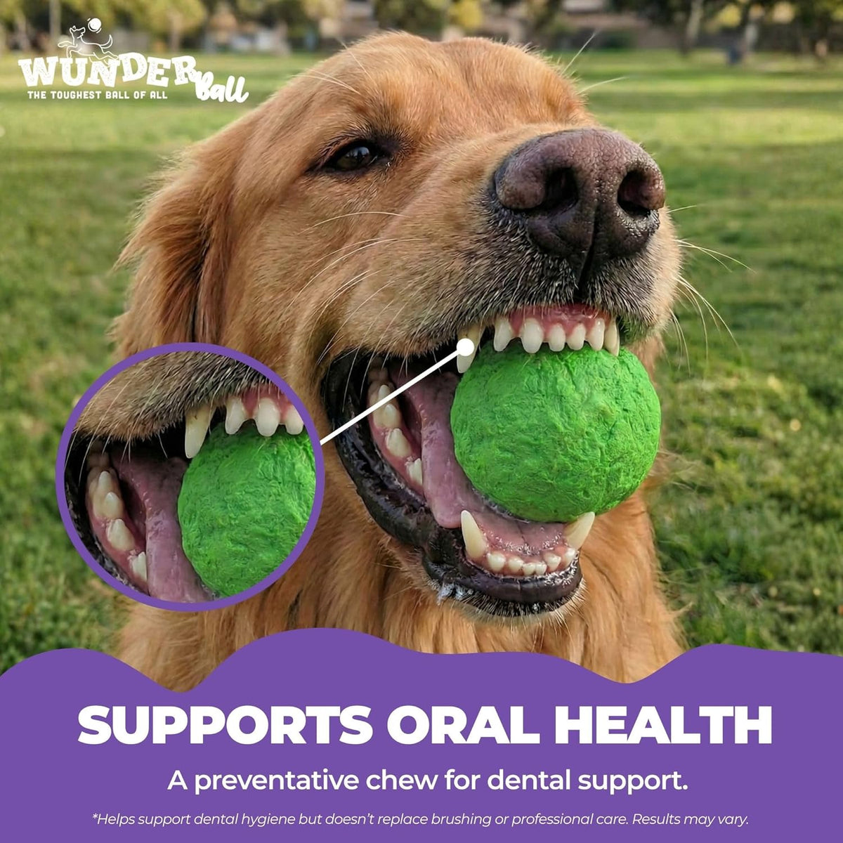 WUNDERball - Best Fetch Toy