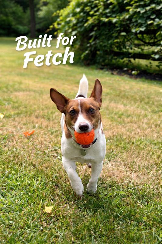 WUNDERBALL 3-Pack (Most Popular)