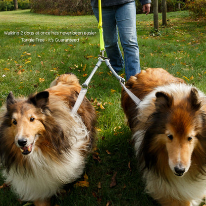 Walking two dogs at once has never been easier - and 100% tangle free