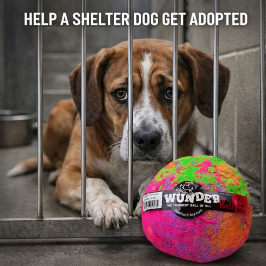Donate a WUNDERball