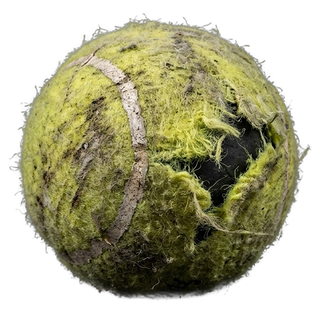 Regulation tennis ball for scale