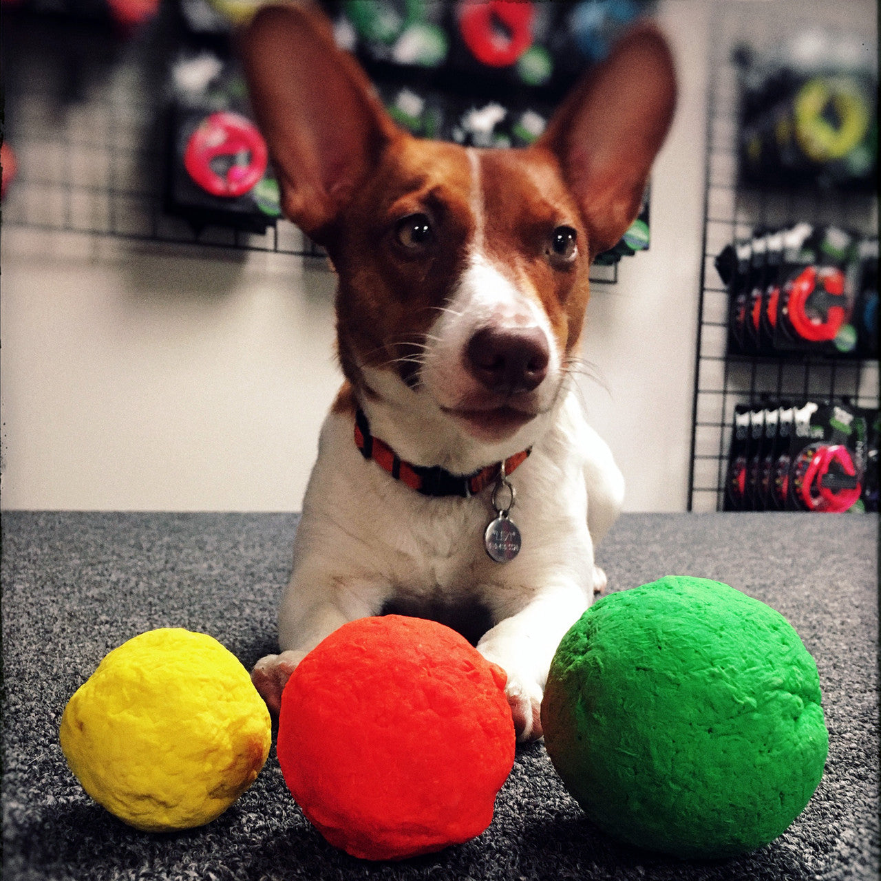 WUNDERBALL is available in 4 sizes so you can get the perfect size fetch toy for any size dog.  