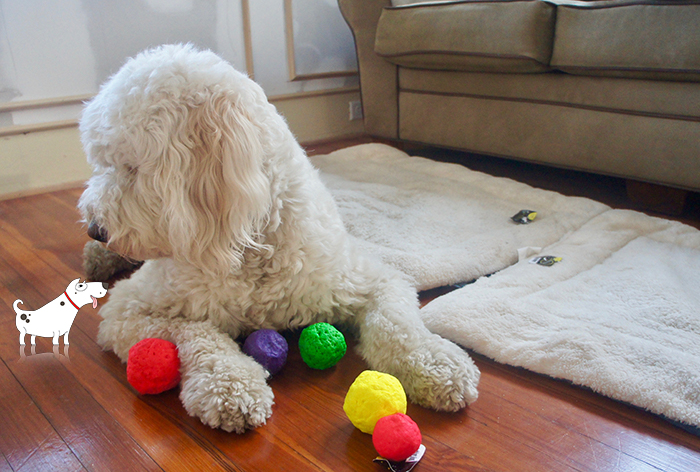 WUNDERBALL Customer Review - Read more about this virtually indestructible Dog Ball