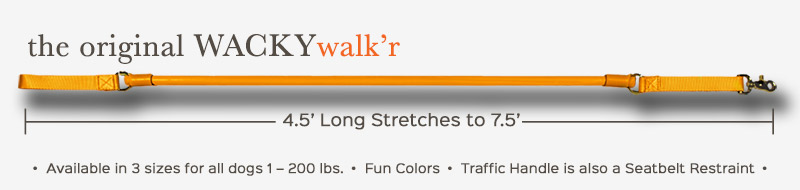 no-pull-leash-wacky-walkr.jpg